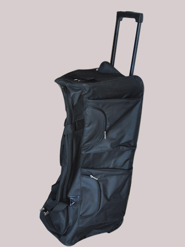 Travel bag and trolley