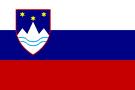 WM Länder National Autoflagge Autofahne-Slowenien